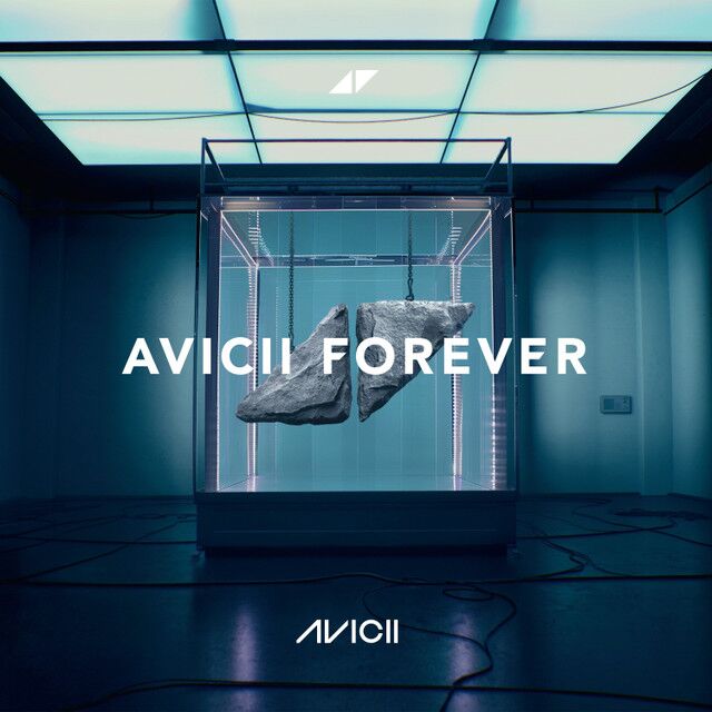 aviciiforever__35525